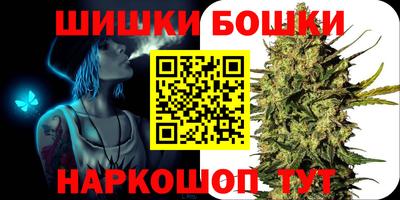 стафф Кингисепп