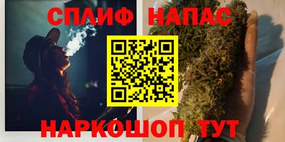 стафф Кингисепп