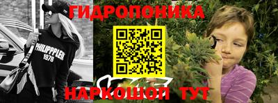 альфа пвп Кимры