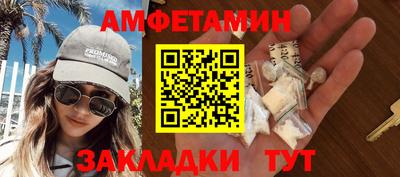 стафф Кингисепп
