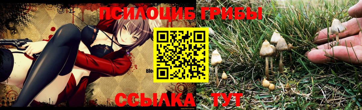 Кстово  Марихуана  Вход с VPN  MDMA  НБОМе  ГАШИШ  МЕФ   МЕТАМФЕТАМИН  Бошки Шишки 