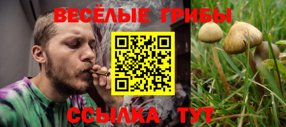 Кстово  Псилоцибиновые грибы ЛСД  Вход с VPN  Галлюциногенные грибы прущие грибы 
